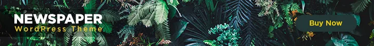 spot_img