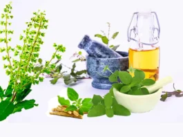 Benefits-and-harms-of-Tulsi-leaves copy
