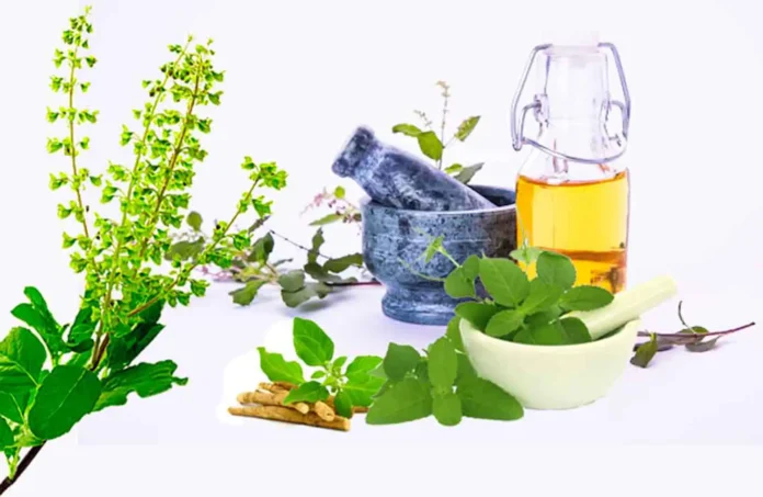 Benefits-and-harms-of-Tulsi-leaves copy