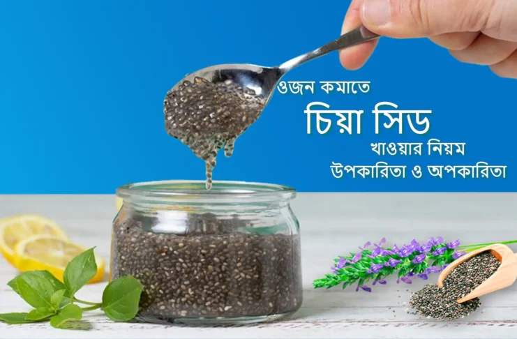 chia-seed-khawar-niyom-upokarita