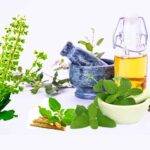 Benefits and harms of Tulsi leaves